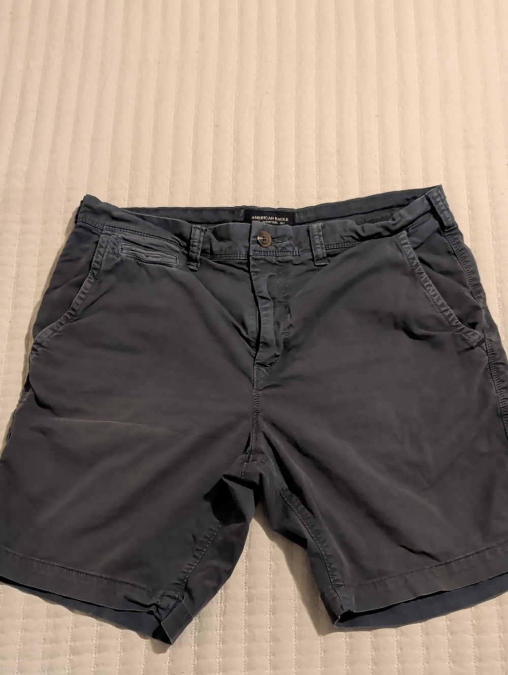 American Eagle Outfitters Men’s Dark Navy Flat Front Shorts